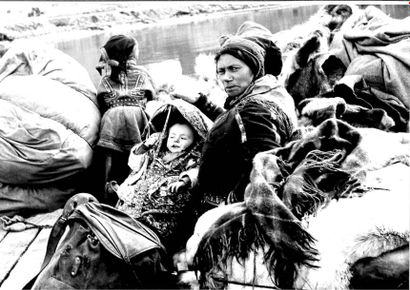 Georges JONIAUX (1932-1987) 

Mère et son enfant, Laponie.

Tirage photographique...