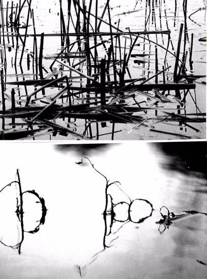 Georges JONIAUX (1932-1987) 

"Reflets de roseaux".

Quatre tirages photographiques...