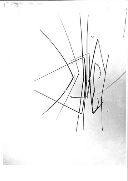 Georges JONIAUX (1932-1987) 

Deux tirages photographiques en noir et blanc.

- Camargue...