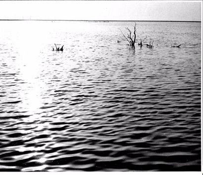 Georges JONIAUX (1932-1987) 

Deux tirages photographiques en noir et blanc. 

-...