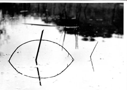 Georges JONIAUX (1932-1987) 

"Reflets de roseaux".

Deux tirages photographiques...