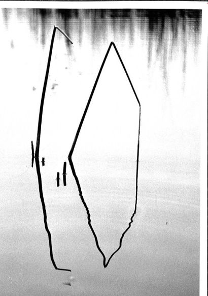 Georges JONIAUX (1932-1987) 

"Reflets de roseaux".

Trois tirages photographiques...