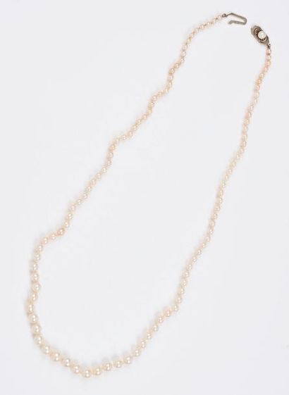null Collier de perles de culture blanches en chute.

Fermoir en or gris (750) orné...