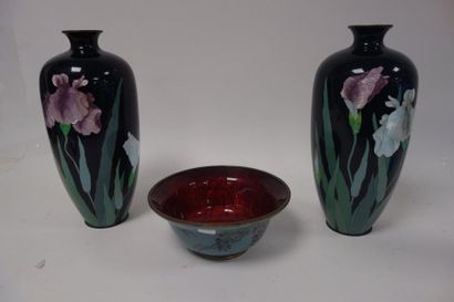 JAPON 

- une paire de vases fuselées à fond plat et à petit col.

Décor d'iris émaillé...