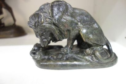 D'après Antoine- Louis BARYE (1795-1875) 

Lion au serpent.

Epreuve en bronze à...