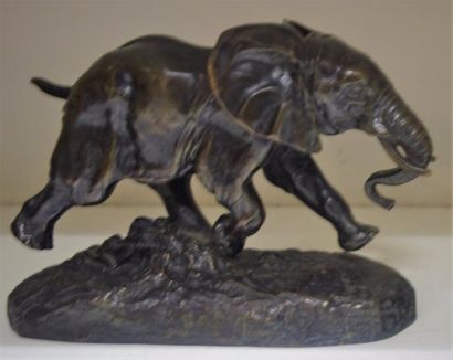 D'après Antoine- Louis BARYE (1795-1875) 

Elephant du Sénégal courant

Epreuve en...