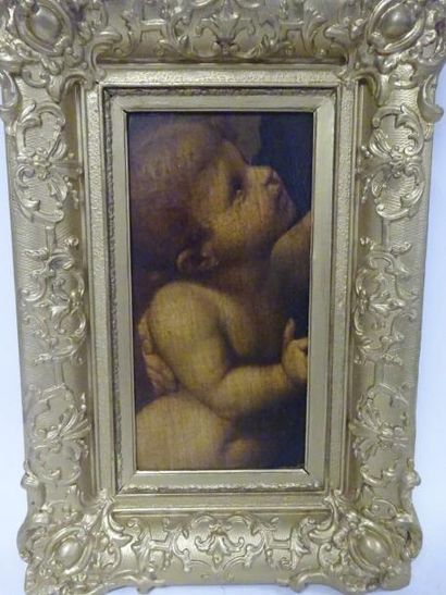 D'après RAPHAEL (1483-1520) 

L'enfant Jésus de la Belle jardinière.

Fragment d'huile...