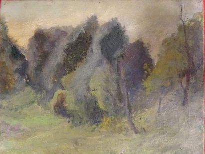 Attribuée à Jules Louis RAME (1855-1927) 

Paysage aux arbres.

Huile sur toile.

Cachet...