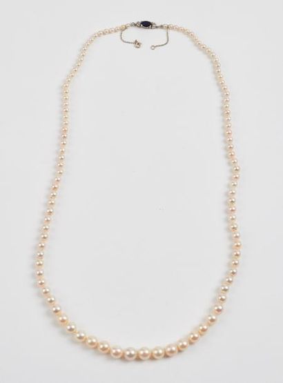 null Collier de perles de culture blanches en chute. 

Fermoir cliquet en or gris...