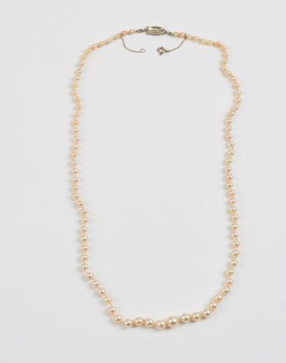 null Collier de perles de culture blanches en chute. 

Fermoir cliquet en or gris...