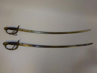 null FRANCE

Deux sabres de cavalerie légère, modèle 1822.

Un de troupe, l'autre...