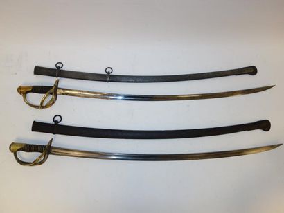 null FRANCE

Deux sabres de cavalerie légère, modèle 1822 :

- un d'officier.

Garde...