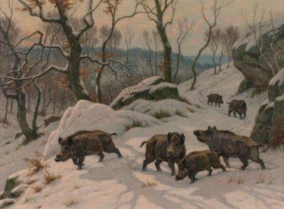 Georges Frédéric ROTIG (1873-1961) 
Sangliers en forêt enneigée.
Huile sur toile.
Signée...