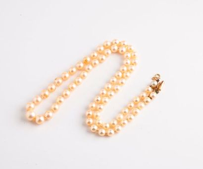 null Collier de perles de culture blanches. 

Fermoir tonneau en or jaune (750)....