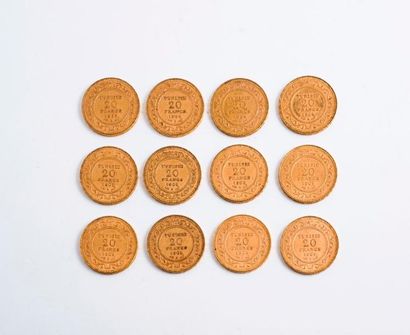 null TUNISIE (Protectorat français 1881-1956)

Lot de 12 pièces en or de 20 Francs...