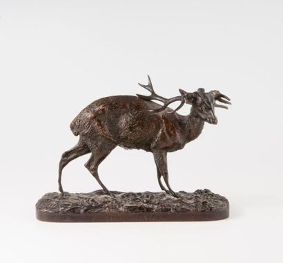 D’après Pierre Jules MÈNE (1810-1879) 

"Cerf Muntjac".

Épreuve en bronze patiné.

Signée...