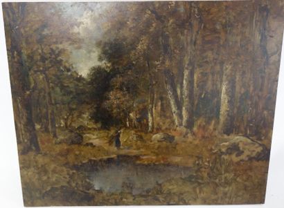 Camille MAGNUS (1850-?) 

Fagotière en forêt près d'une mare. 

Huile sur bois. 

Trace...
