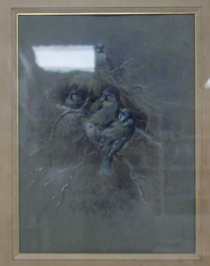 Hector GIACOMELLI (1822-1904) 

Chardonnets au nid.

Gouache et aquarelle sur papier.

Signée...
