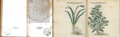 FUCHS, LÉONARD 

Histoire des plantes avec les noms Grecs, Latin, & Fráçoys.

Imprimé...