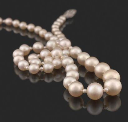  Collier composé d'une chute de perles fines d'environ 5,4 à 10,2 mm, alternées de...