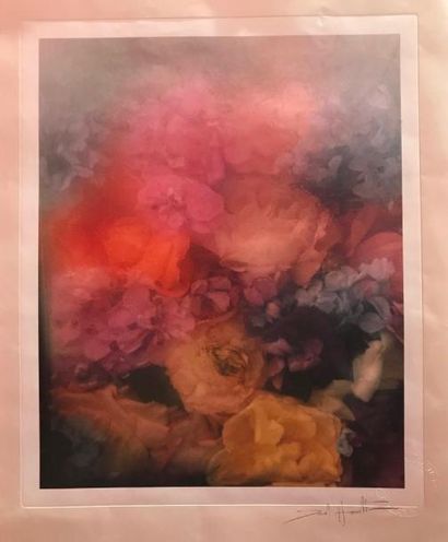 DAVID HAMILTON (1933-2016) 

Fleurs. 

Tirage chromogénique. 

Signature et timbre...