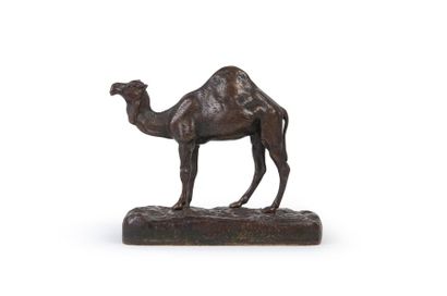 D'après Alfred BARYE (1839-1882) 
Dromadaire d'Algérie.
Epreuve en bronze à patine...