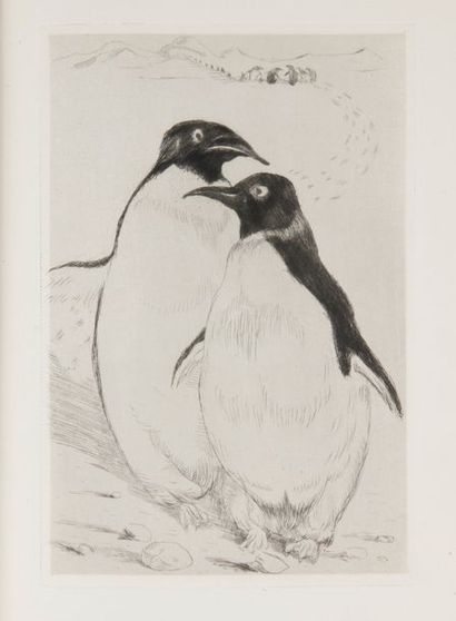 FRANCE (Anatole) 
L'ile des pingouins.
Paris, Lapina, 1926, 2 vol. in-4, demirel.
à...