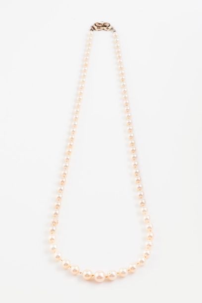 null Collier de perles de culture blanches en chute. 

Fermoir cliquet en or gris...