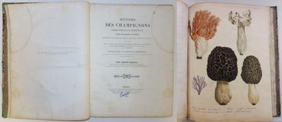 Joseph ROQUES (1757-1847). 

Histoire des champignons comestibles et vénéneux. 

A...