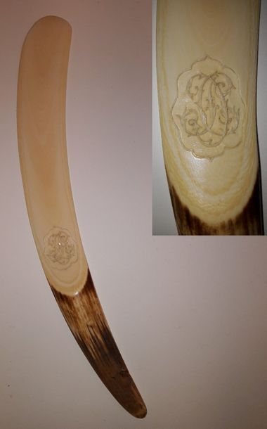 null Grand coupe-papier ou repose-poignet en ivoire (Elephantidae spp ; > 20 %) (pré-Convention),...