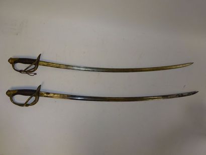 France 

Deux sabres de cavalerie légère, modèle 1822.

Un de troupe, l'autre d'officier.

Lames...