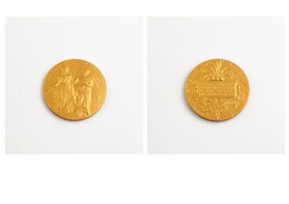 MINISTERE DE L'AGRICULTURE 

Médaille commémorative en or jaune (916) de la Société...