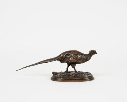 D'après Pierre-Jules MÊNE (1810-1879) 

Faisan. 

Epreuve en bronze à patine brune....
