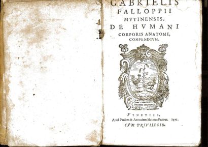 FALLOPII (Gabrielis). De Morbo Gallico…

Venise, Regazola, 1573.

- Mutinensis de...