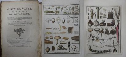 M. BULLIARD 

Dictionnaire élémentaire de botanique. 

Chez Didot, Barrois et Belin,...