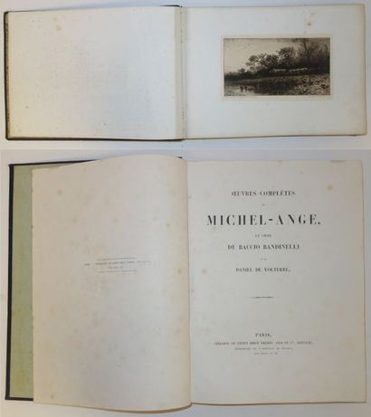 null Deux volumes :

- Oeuvres complètes de Michel-Ange et choix de Baccio Bandinelli...