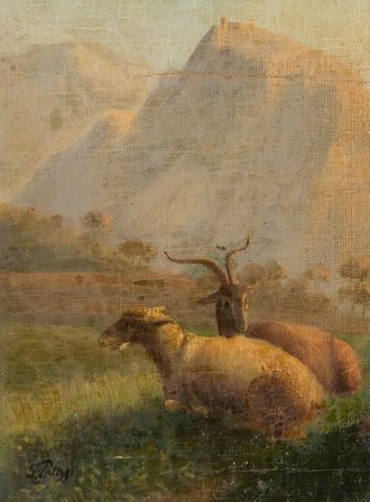 Ecole du XIXème siècle 

Mouton et chèvre. 

Huile sur toile. 

Porte une signature...