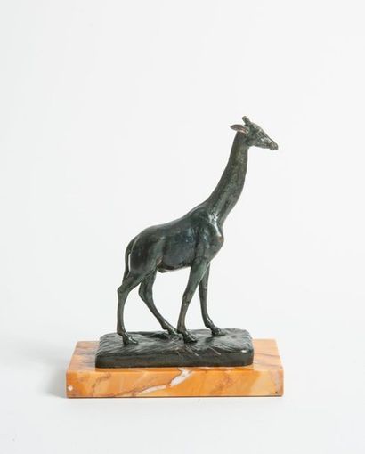 D'après Alfred BARYE (1839-1882) 

Girafe. 

Epreuve en bronze à patine verte. 

Signée...