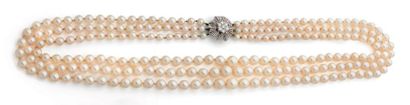 MELLERIO Collier composé de trois rangs de perles de culture blanches, disposées...