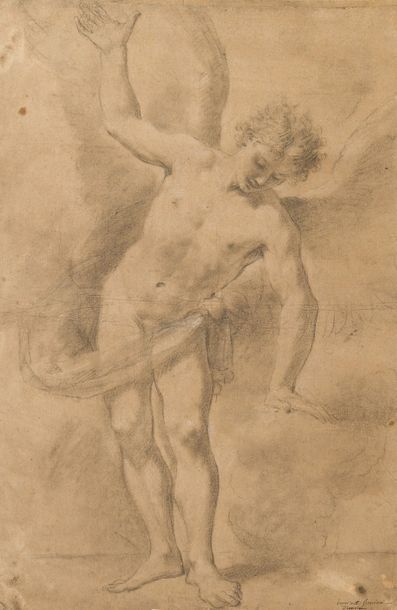 Ecole BOLONAISE du XVIIIème siècle Etude de modèle pour un ange. Pierre noire, estompe...
