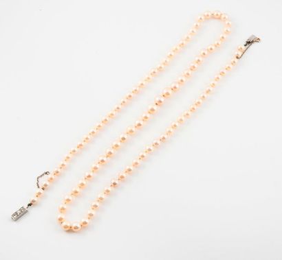 null Collier de perles de culture blanches en chute. 

Fermoir cliquet en or gris...