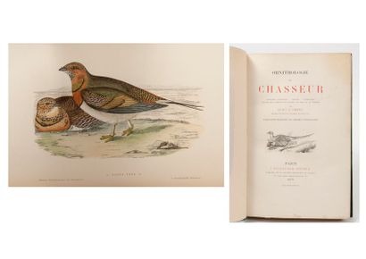 Docteur J.C. CHENU 

Ornithologie de Chasseurs.

Cinquante planches en chromo lithographie.

Paris,...