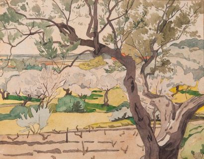 Georges LACOMBE (1868-1916) 
Paysage aux oliviers.
Aquarelle.
Cachet de la vente...