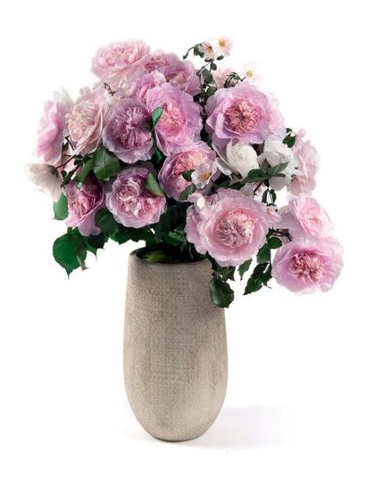 AMOR William (né en 1980) Bouquet de Rosa Antica Plasticae dit «Jardin de Granville»,...