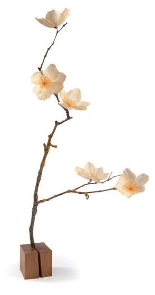 AMOR William (né en 1980) Clematis Petroliferous dite «Peach Blossom 1 & 2», 2018.
Deux...