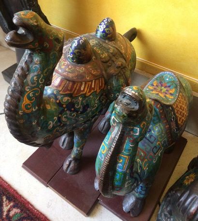 CHINE, XXème siècle 
Deux statuettes de chameaux blatérant.
Bronze et émaux cloisonnés...