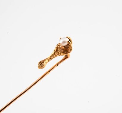 null Epingle de cravate en or jaune (750) ornée d'une serre retenant une perle bouton...