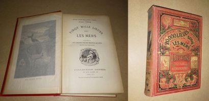 Jules VERNE 

20 000 lieues sous les mers.

Collection Hetzel, Paris.

Non collationné....