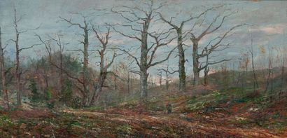 Simon TOUDOUZE (1850-1909) 

Paysage de forêt, 

Huile sur panneau. 

Signé en bas...