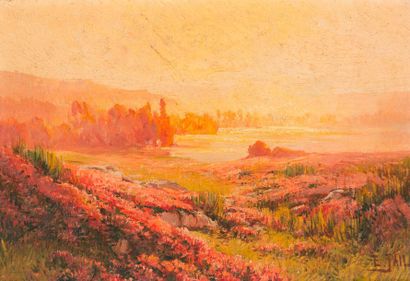 Édouard PAÏL (1851-1916) 

Bruyères en fleurs, 

Huile sur toile. 

Signée en bas...